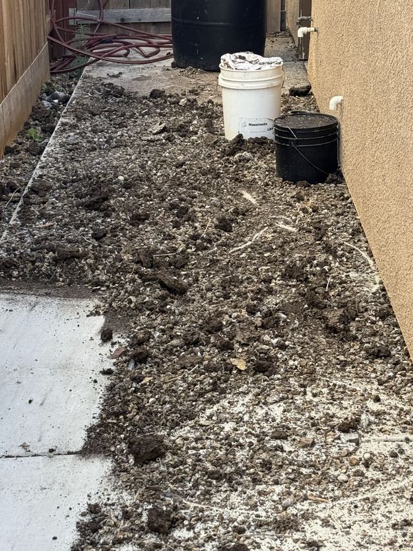 Gutter debris cleared out onto the side walkway during a gutter cleaning